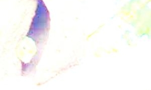 CNJ arquiva PAD que pedia o  afastamento de  corregedor do Tribunal de Justiça